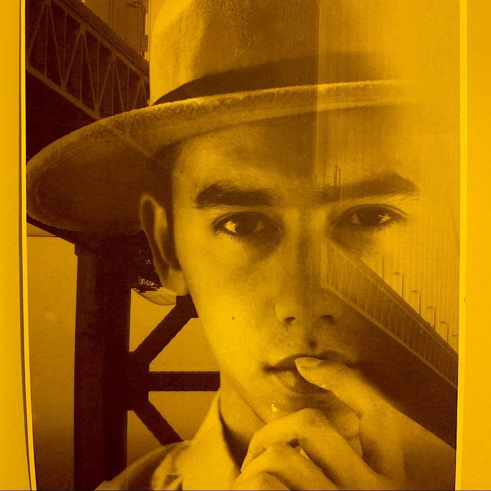 Young Hoa Poster